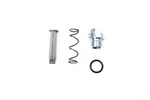 Tappet Oil Screen Kit And Chrome Top Plug For Harley-davidson. Fixed Price $50.99.