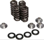 Kibblewhite Valve Spring Kit 30-30590 CRF250R 04-07/CRF250X 04-17. Fixed Price $175.99.