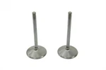 Stainless Steel Intake Valves For Harley-davidson. Fixed Price $107.99.