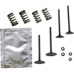 Wiseco Valve Kit SVKB2414. Fixed Price $325.92.