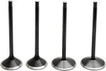 Harley Davidson Xl 1200 1988-2003 Engine Valve Kit Kibblewhite 20-22800. Fixed Price $106.06.