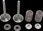 Moose Intake Valve KIT0926-2429 For 2005-2017 Honda CRF450X. Fixed Price $196.95.