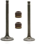 Set Intake Exhaust With Seals For Atv Replace 22K-12111-03-00. Fixed Price $35.99.