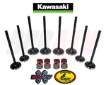 05-20 Kawasaki Brute Force 750 Kvf Exhaust Intake Valves Kibblewhite Stem Seals. Fixed Price $89.99.