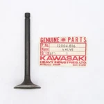 Kawasaki Valve Inlet Part Number 12004-016. Fixed Price $12.99.