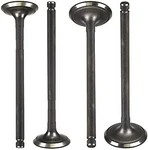 Intake And Exhaust Valve Pure Polaris Kit (X4). Fixed Price $310.24.