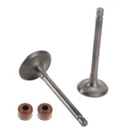 Inlet & Exhaust Valves Kit For Yamaha YFA1 Breeze 00-04 Grizzly YFM125 04-13. Fixed Price $18.50.