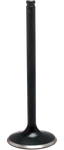 Kibblewhite Black Diamond Engine Valve 3032413. Fixed Price $37.95.
