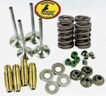 LTR450 Lt-r Kibblewhite Springs After Upgrade Guides Kit. Fixed Price $377.77.