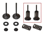 Psychic Intake Valve Kit XU-09164IK. Fixed Price $62.25.