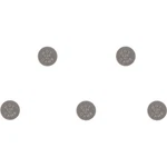 Hot Cams Replacement Valve Shims - 5PK890224. Fixed Price $24.99.