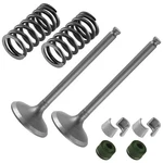 2X Exhaust Valve Kit For Yamaha 5TA-12121-00-00 5TJ-12114-00-00 33M-12119-00-00. Fixed Price $30.98.