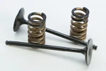 Pro X 28.SIS6329-2 Steel Valves And Spring Kits Intake. Fixed Price $155.95.