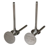 Del West - CRF250RIV10NDHF Hgh Performance Titanium Intake Valve. Fixed Price $119.99.