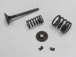 1979-1983 Honda Ascot Ft Xl Xr 500 Exhaust Engine Valve Spring Oem 14721-429-000. Fixed Price $39.99.
