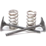 Pro X Steel Intake Valve And Spring Kit 28.SIS6351-2. Fixed Price $139.99.