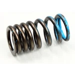 Psychic Exhaust Valve Springs XU-09529IS. Fixed Price $15.99.