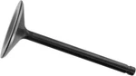 Kibblewhite Black Diamond Intake Valve 2.00" #20-20108 Harley Davidson. Fixed Price $48.19.