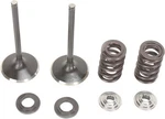 Moose Intake Valve/spring Kit Steel Fits Honda CRF450X 2005-2017. Fixed Price $196.95.