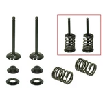 Psychic Ss Racing Intake Valve Kit For Suzuki RMZ450 RMX450Z 2008-2022. Fixed Price $68.76.