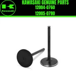 Kawasaki Genuine Part 12004-0760 /12005-0780 Intake And Exhaust Valve Set Oem. Fixed Price $169.28.