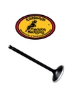 Kibblewhite 96-96102 Black Diamond Intake Valve Standard Ktm 250 Sxs-f Xcf-w. Fixed Price $59.95.