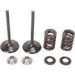 Moose Offroad Valve And Spring Kit 0926-2462. Fixed Price $196.95.