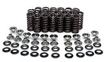 Kibblewhite Titanium Lightweight Race Valve Spring Kit Yamaha Yfz R1 2004-2006. Fixed Price $735.44.