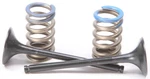 Pro X Steel Valves And Spring Kits 28.SES6351-1. Fixed Price $140.36.