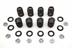 M8 Valve Spring Kit With Titanium Retainers For Harley Davidson By V-twin. Fixed Price $285.28.