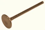 Kawasaki Bayou 400, 1993-1999, Intake Valve 12004-1106. Fixed Price $14.99.