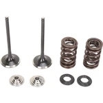 Moose Offroad Valve And Spring Kit 0926-2438. Fixed Price $196.95.