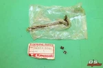 Kawasaki Nos New 12004-5001 Intake Valve KZ550 Ltd 1980-83. Fixed Price $14.96.