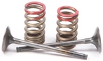 Pro Steel Exhaust Valve And Spring Kit Set 28.SES4335-1. Fixed Price $139.99.