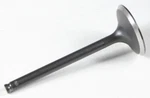 Kpmi Black Diamond Exhaust Valve Part# 40-40656 New. Fixed Price $42.51.