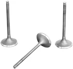 Pro X Steel Valve 28.2661-1. Fixed Price $36.86.