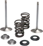 Kibblewhite Engine Intake Valve Kit For Kawasaki Kx 250 2020-2021 40-41650. Fixed Price $163.56.