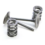 Pro X Steel Intake Valve And Spring Kit 28.SIS4409-2. Fixed Price $149.99.
