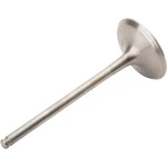 Pro X 28.4339-2 Titanium Intake Valve. Fixed Price $76.99.
