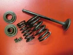89-97 Suzuki GSX750F Exhaust Valve With Springs & Keepers Katana. Fixed Price $8.00.