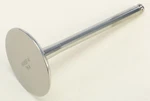 Wiseco VIT046 Titanium Intake Valve For 2016-18 Kawasaki Kx 450. Fixed Price $99.99.