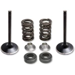 Kibblewhite Valve Spring Kit 80-81100. Fixed Price $171.18.