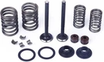 Valves Rebuild Kit 70CC 90CC 110CC Taotao Sunl Coolster Atv Dirt Bike Go Kart. Fixed Price $11.99.