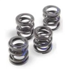 Andrews Products High-lift Valve Springs 272110. Fixed Price $75.62.