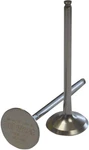 Del West Intake Valve Titanium DW450RIV09ND. Fixed Price $148.15.