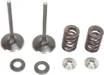 Moose Intake Valve/spring Kit Steel Fits Suzuki RM-Z450 2005-2006. Fixed Price $196.95.