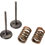 Pro X 28.SIS4341-2 Steel Intake Valve/spring Kit. Fixed Price $139.99.