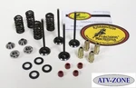 Kibblewhite Valves With Spring Kit And Guides Honda Trx 450R 450ER 2006-2014. Fixed Price $346.04.
