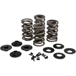 Kibblewhite 20-21600 .675" Lift Valve Spring Kit 84-04 Harley Twin Cam & Evo. Fixed Price $194.95.