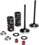Kibblewhite Intake Valves And Spring Kit 2007 60-61000. Fixed Price $168.95.